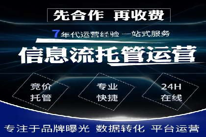 SEM主管实战：案例分析与优化策略